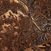 Lynchburg Virginia Map Print in Ember Style Zoomed In Close Up Showing Details