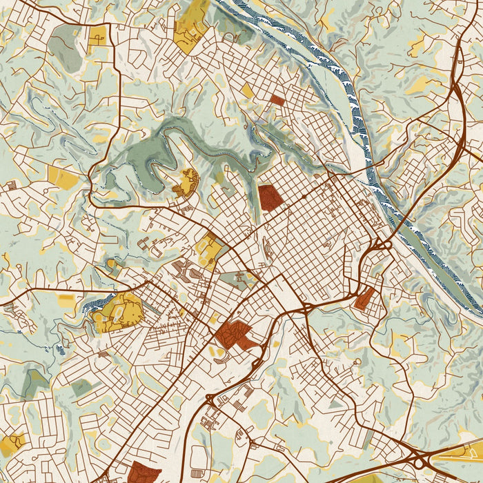 Lynchburg Virginia Map Print in Woodblock Style Zoomed In Close Up Showing Details