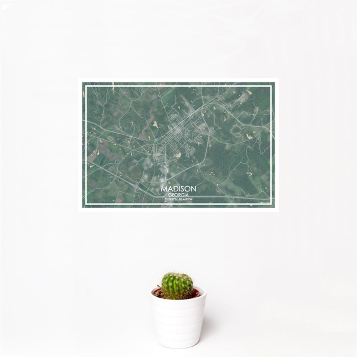 12x18 Madison Georgia Map Print Landscape Orientation in Afternoon Style With Small Cactus Plant in White Planter