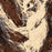 Maroon Bells Colorado Map Print in Ember Style Zoomed In Close Up Showing Details
