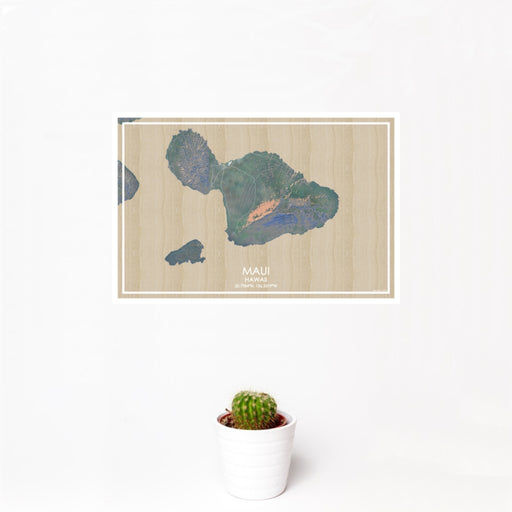 12x18 Maui Hawaii Map Print Landscape Orientation in Afternoon Style With Small Cactus Plant in White Planter