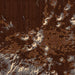 Mauna Kea Hawaii Map Print in Ember Style Zoomed In Close Up Showing Details