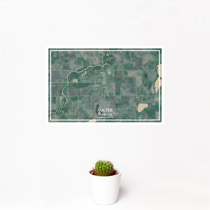 12x18 Mayer Minnesota Map Print Landscape Orientation in Afternoon Style With Small Cactus Plant in White Planter