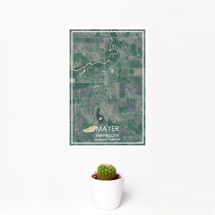 12x18 Mayer Minnesota Map Print Portrait Orientation in Afternoon Style With Small Cactus Plant in White Planter