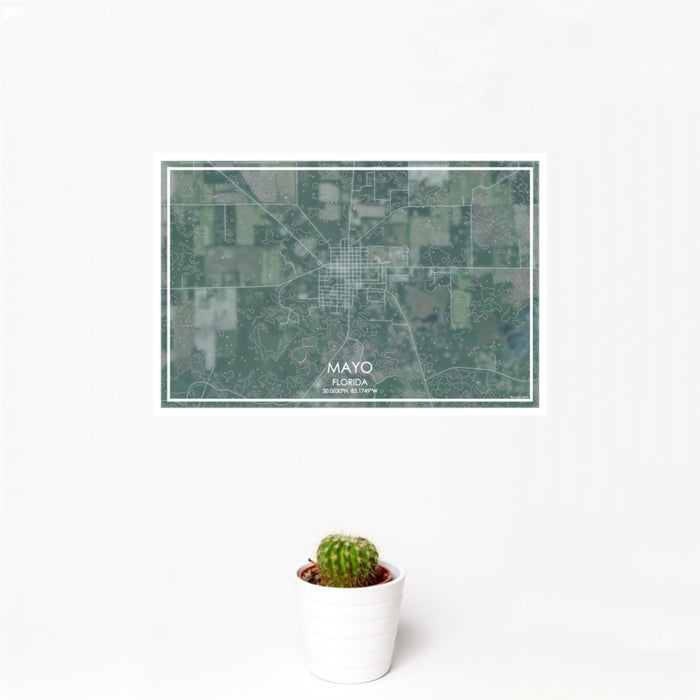 12x18 Mayo Florida Map Print Landscape Orientation in Afternoon Style With Small Cactus Plant in White Planter