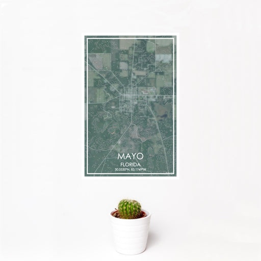 12x18 Mayo Florida Map Print Portrait Orientation in Afternoon Style With Small Cactus Plant in White Planter