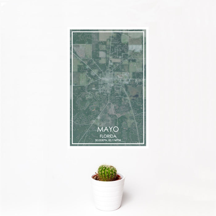 12x18 Mayo Florida Map Print Portrait Orientation in Afternoon Style With Small Cactus Plant in White Planter