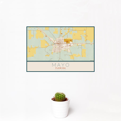 12x18 Mayo Florida Map Print Landscape Orientation in Woodblock Style With Small Cactus Plant in White Planter