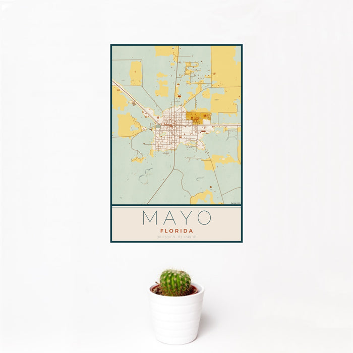 12x18 Mayo Florida Map Print Portrait Orientation in Woodblock Style With Small Cactus Plant in White Planter