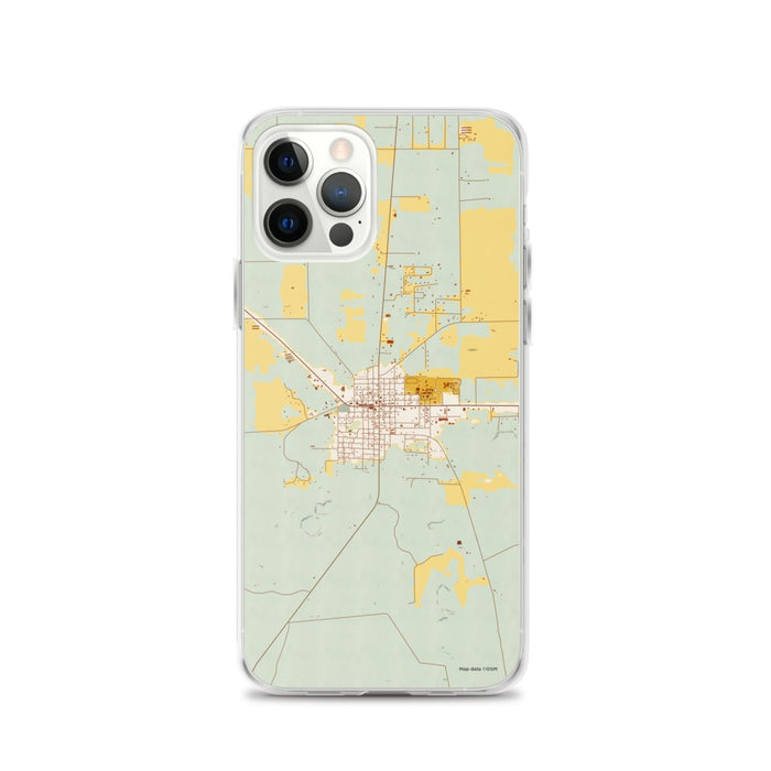 Custom iPhone 12 Pro Mayo Florida Map Phone Case in Woodblock