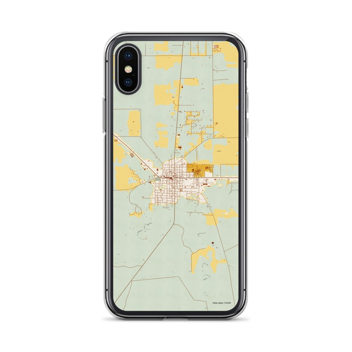 Custom iPhone X/XS Mayo Florida Map Phone Case in Woodblock