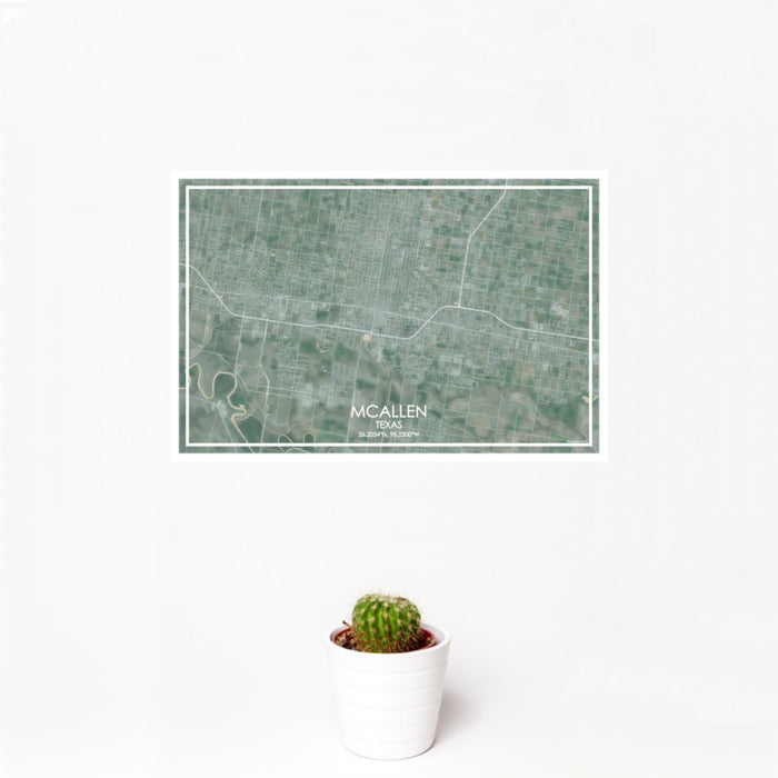 12x18 McAllen Texas Map Print Landscape Orientation in Afternoon Style With Small Cactus Plant in White Planter