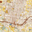 McAllen Texas Map Print in Woodblock Style Zoomed In Close Up Showing Details