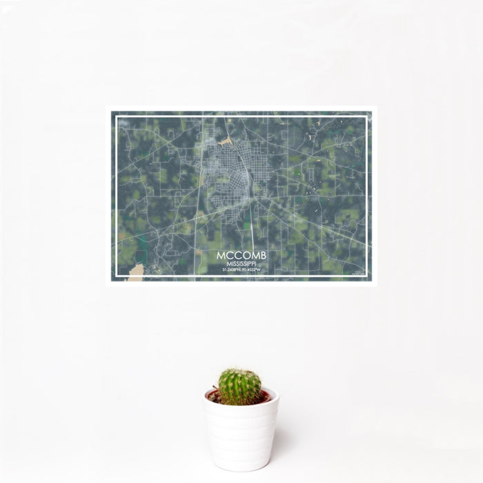 12x18 McComb Mississippi Map Print Landscape Orientation in Afternoon Style With Small Cactus Plant in White Planter