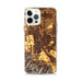 Custom Medford Oregon Map iPhone 12 Pro Max Phone Case in Ember