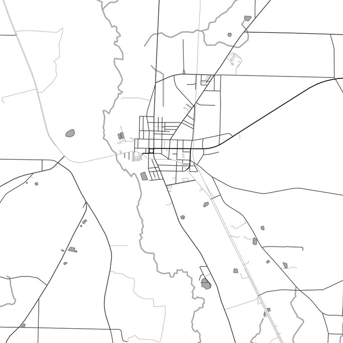 Miller County Georgia Map Print in Classic Style Zoomed In Close Up Showing Details