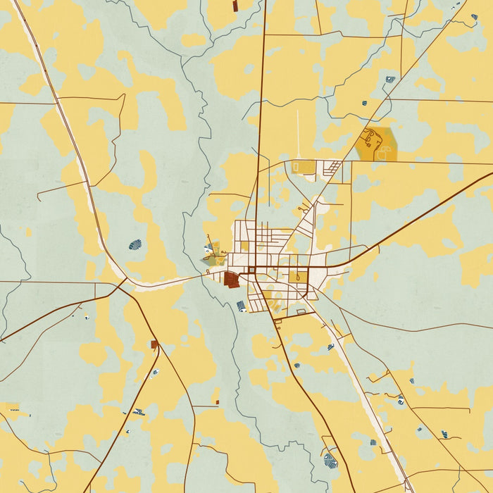 Miller County Georgia Map Print in Woodblock Style Zoomed In Close Up Showing Details