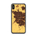 Custom Modesto California Map Phone Case in Ember