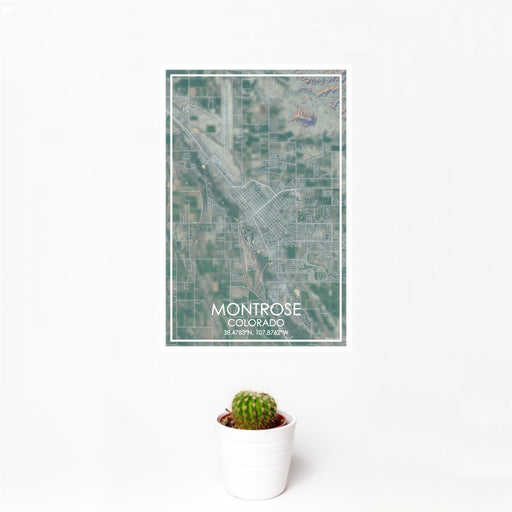 12x18 Montrose Colorado Map Print Portrait Orientation in Afternoon Style With Small Cactus Plant in White Planter