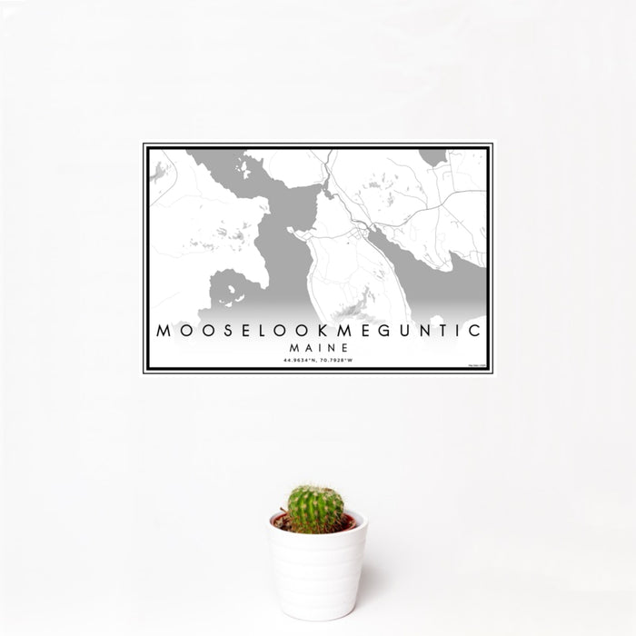 12x18 Mooselookmeguntic Maine Map Print Landscape Orientation in Classic Style With Small Cactus Plant in White Planter