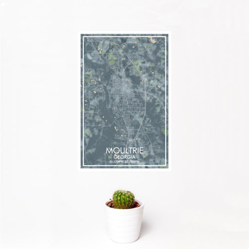 12x18 Moultrie Georgia Map Print Portrait Orientation in Afternoon Style With Small Cactus Plant in White Planter