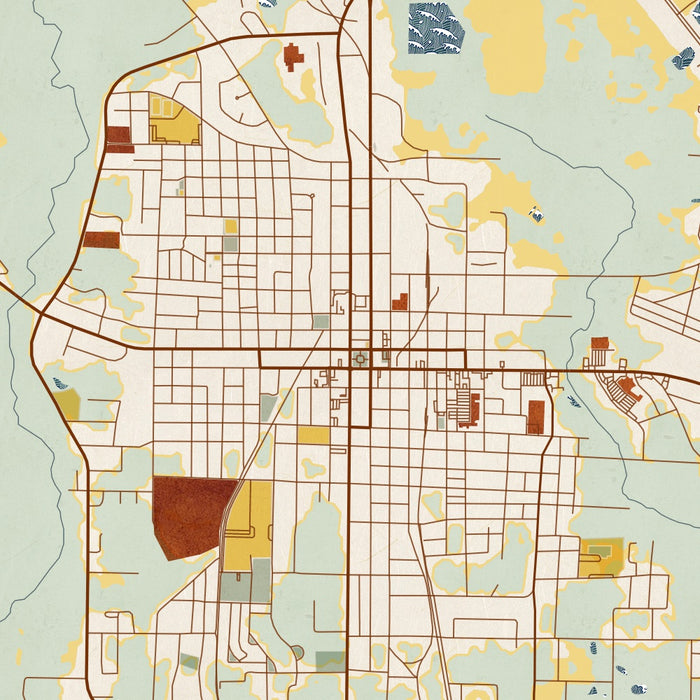 Moultrie Georgia Map Print in Woodblock Style Zoomed In Close Up Showing Details