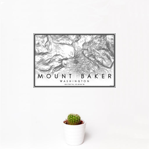 12x18 Mount Baker Washington Map Print Landscape Orientation in Classic Style With Small Cactus Plant in White Planter
