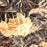 Mount Diablo California Map Print in Ember Style Zoomed In Close Up Showing Details