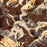 Mount Evans Colorado Map Print in Ember Style Zoomed In Close Up Showing Details