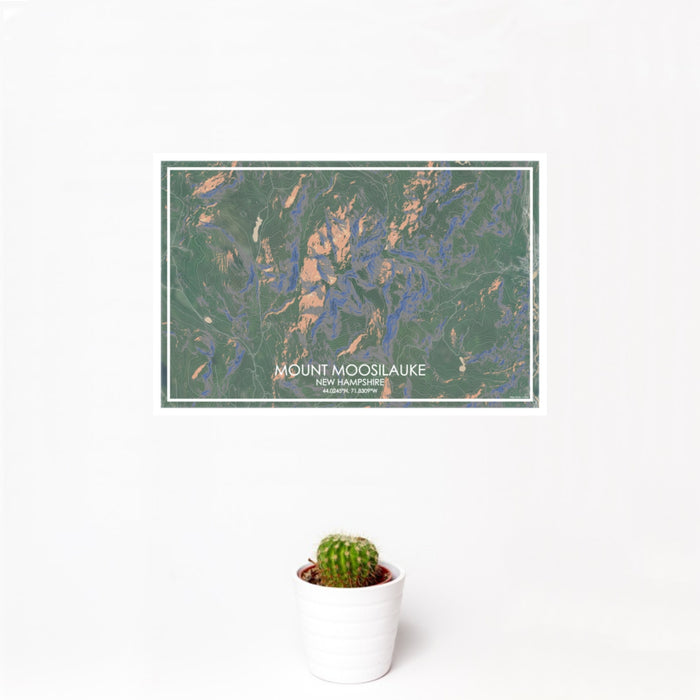 12x18 Mount Moosilauke New Hampshire Map Print Landscape Orientation in Afternoon Style With Small Cactus Plant in White Planter