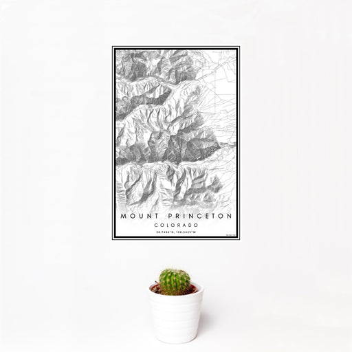 12x18 Mount Princeton Colorado Map Print Portrait Orientation in Classic Style With Small Cactus Plant in White Planter