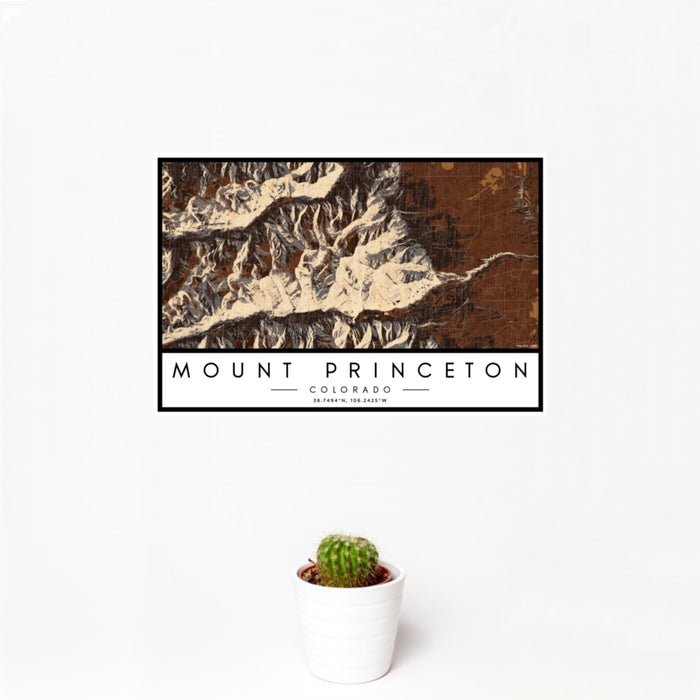 12x18 Mount Princeton Colorado Map Print Landscape Orientation in Ember Style With Small Cactus Plant in White Planter