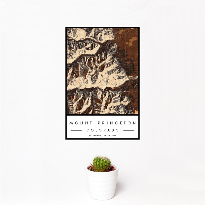 12x18 Mount Princeton Colorado Map Print Portrait Orientation in Ember Style With Small Cactus Plant in White Planter