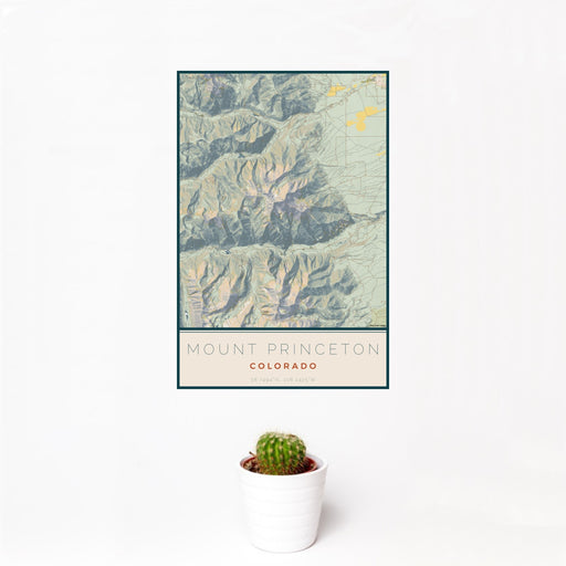 12x18 Mount Princeton Colorado Map Print Portrait Orientation in Woodblock Style With Small Cactus Plant in White Planter