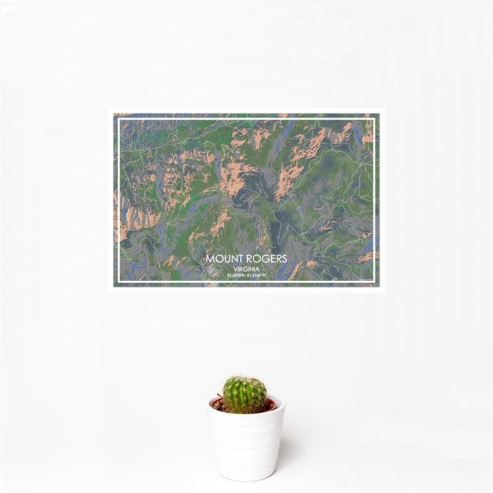 12x18 Mount Rogers Virginia Map Print Landscape Orientation in Afternoon Style With Small Cactus Plant in White Planter