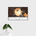 16x24 Mount Shasta California Map Print Landscape Orientation in Ember Style With Tropical Plant Leaves in Water