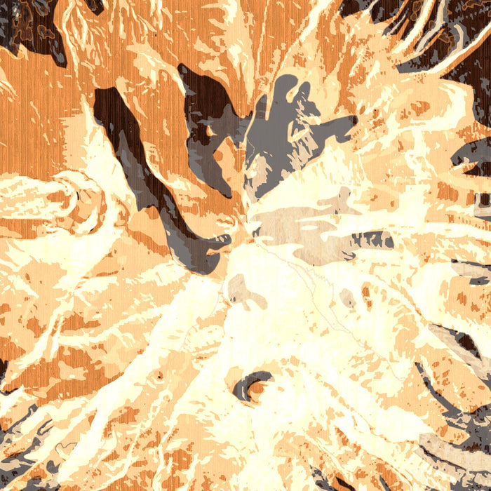 Mount Shasta California Map Print in Ember Style Zoomed In Close Up Showing Details