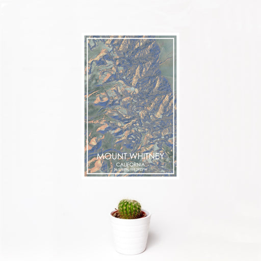 12x18 Mount Whitney California Map Print Portrait Orientation in Afternoon Style With Small Cactus Plant in White Planter