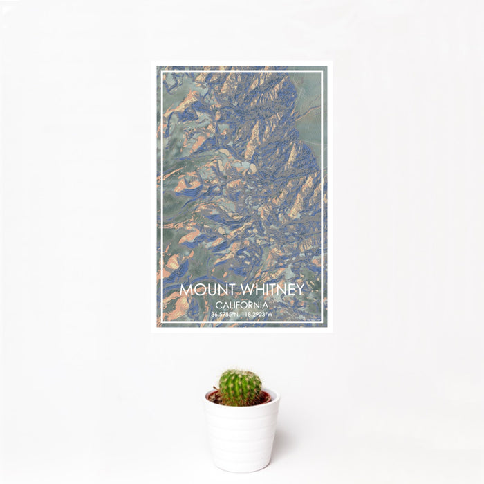 12x18 Mount Whitney California Map Print Portrait Orientation in Afternoon Style With Small Cactus Plant in White Planter