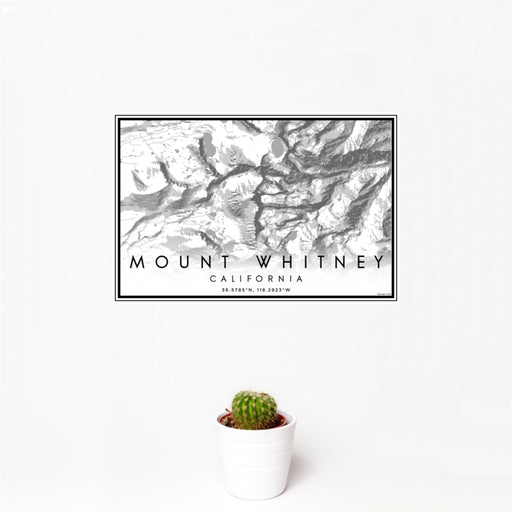 12x18 Mount Whitney California Map Print Landscape Orientation in Classic Style With Small Cactus Plant in White Planter
