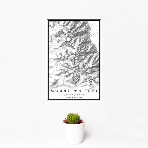 12x18 Mount Whitney California Map Print Portrait Orientation in Classic Style With Small Cactus Plant in White Planter