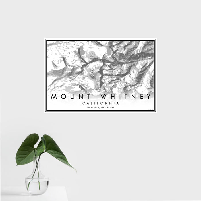 16x24 Mount Whitney California Map Print Landscape Orientation in Classic Style With Tropical Plant Leaves in Water
