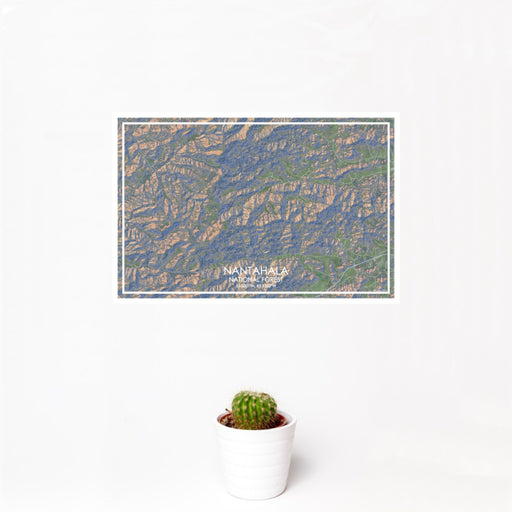 12x18 Nantahala National Forest Map Print Landscape Orientation in Afternoon Style With Small Cactus Plant in White Planter