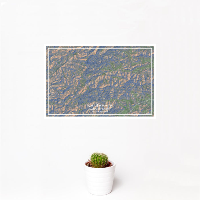 12x18 Nantahala National Forest Map Print Landscape Orientation in Afternoon Style With Small Cactus Plant in White Planter