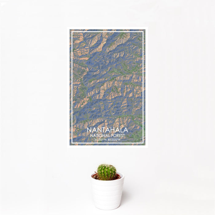 12x18 Nantahala National Forest Map Print Portrait Orientation in Afternoon Style With Small Cactus Plant in White Planter