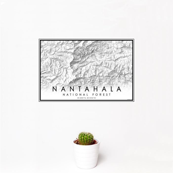 12x18 Nantahala National Forest Map Print Landscape Orientation in Classic Style With Small Cactus Plant in White Planter