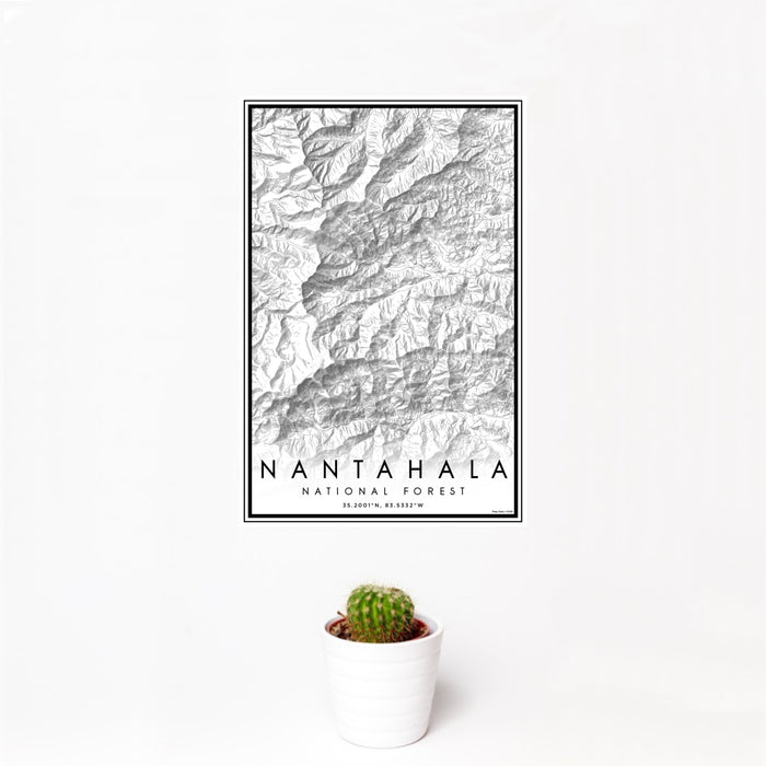 12x18 Nantahala National Forest Map Print Portrait Orientation in Classic Style With Small Cactus Plant in White Planter