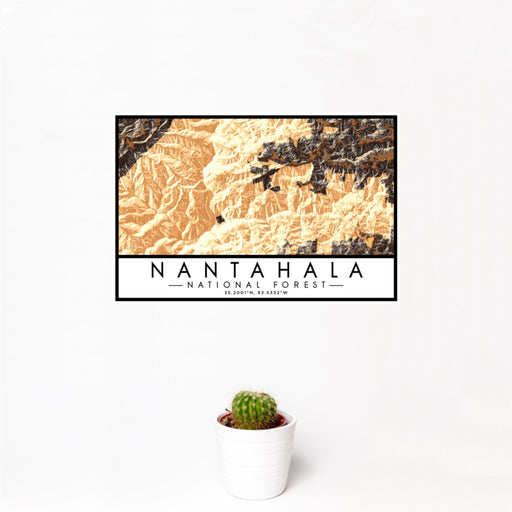 12x18 Nantahala National Forest Map Print Landscape Orientation in Ember Style With Small Cactus Plant in White Planter