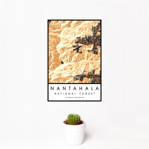 12x18 Nantahala National Forest Map Print Portrait Orientation in Ember Style With Small Cactus Plant in White Planter