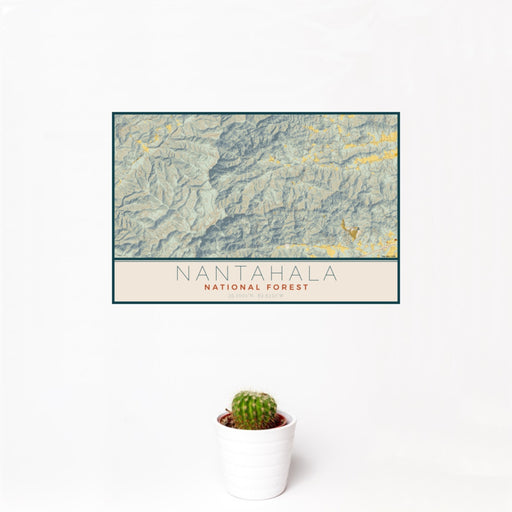 12x18 Nantahala National Forest Map Print Landscape Orientation in Woodblock Style With Small Cactus Plant in White Planter